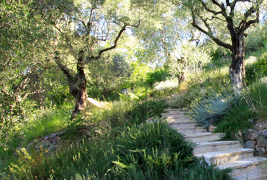 Pont du Loup