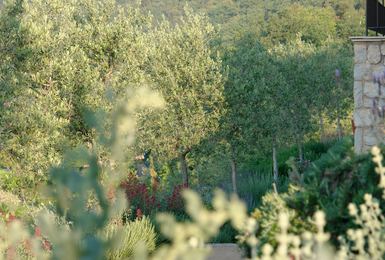 Tourrettes sur Loup    